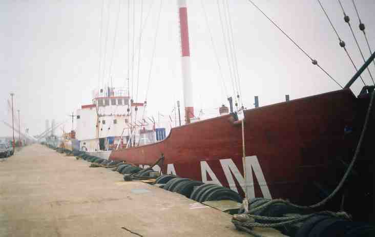 The MV Communicator