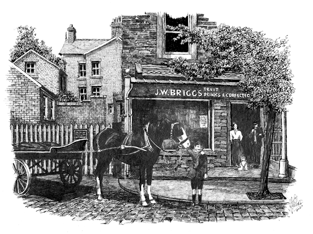 Janet Briggs Shop