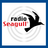 Small Seagull Logo