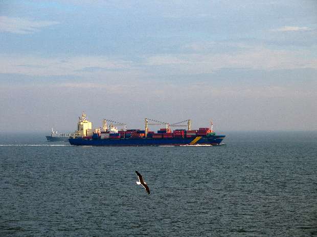 Shipping