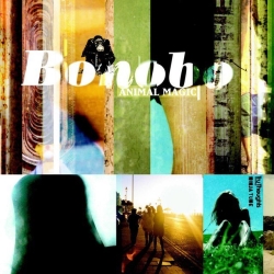 Bonobo – Kota